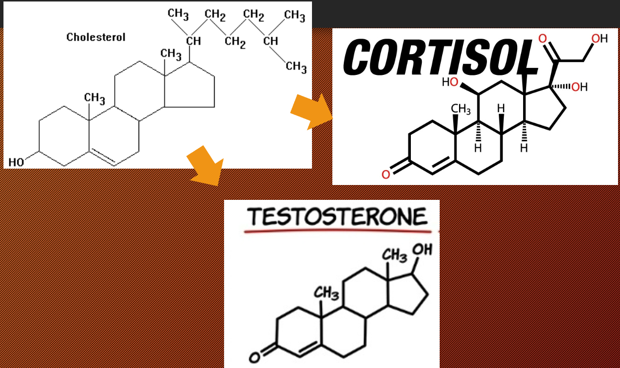 <p>Hormone: Steroids</p>