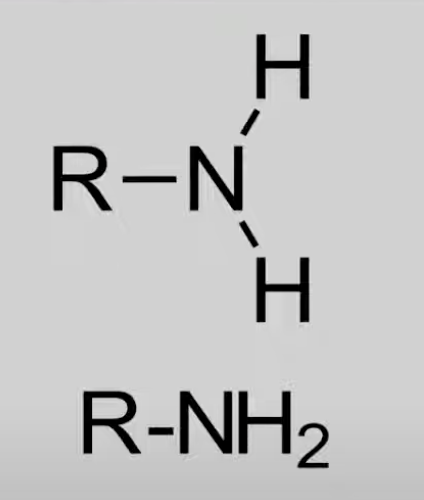 <p>Contain -NH2 or N bonded to alkyl groups.</p><p>General formula: C<sub>n</sub>H<sub>2n+3</sub>N.</p><p>Act as Brønsted and Lewis bases.</p>