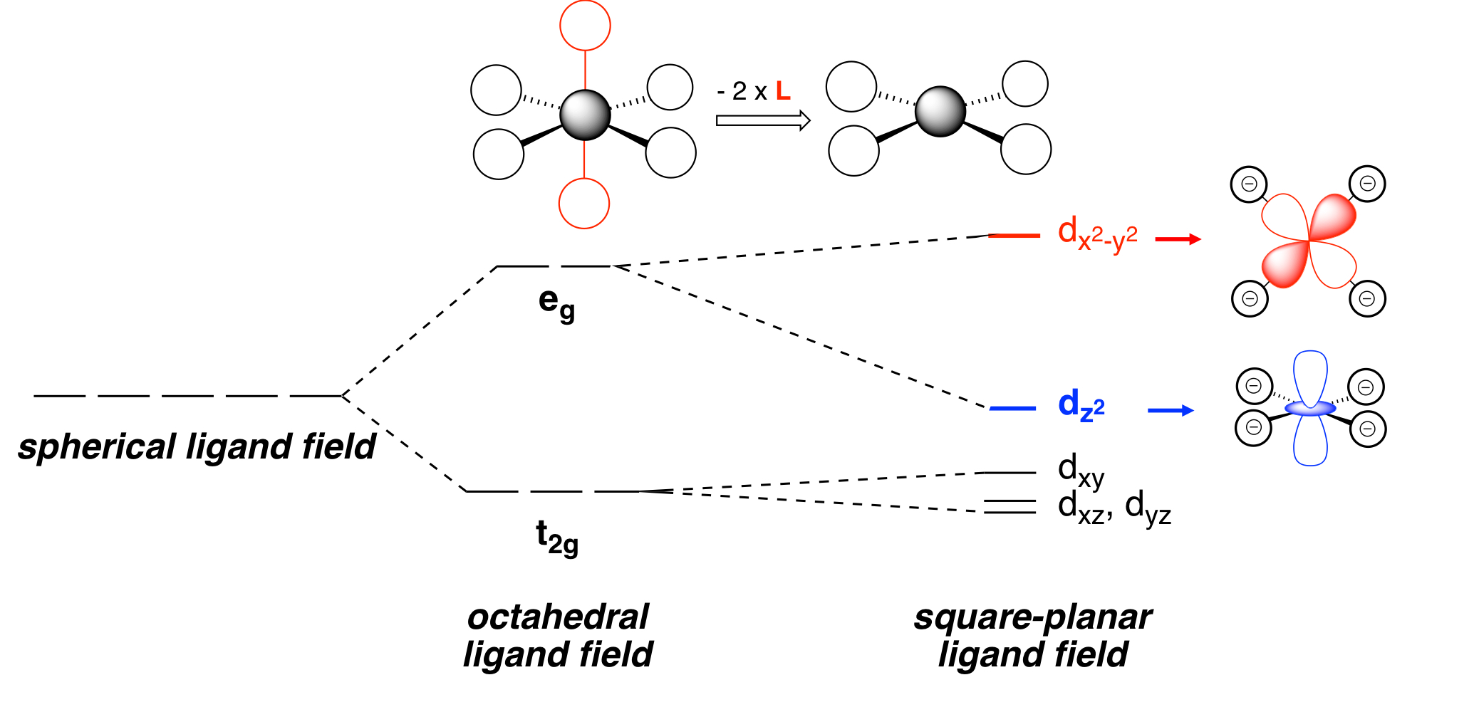 <p>Explain the new orbital energy changes/splittings from an O<sub>h</sub> ligand field to SP` ligand field.</p>