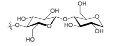 Beta-1, 4-