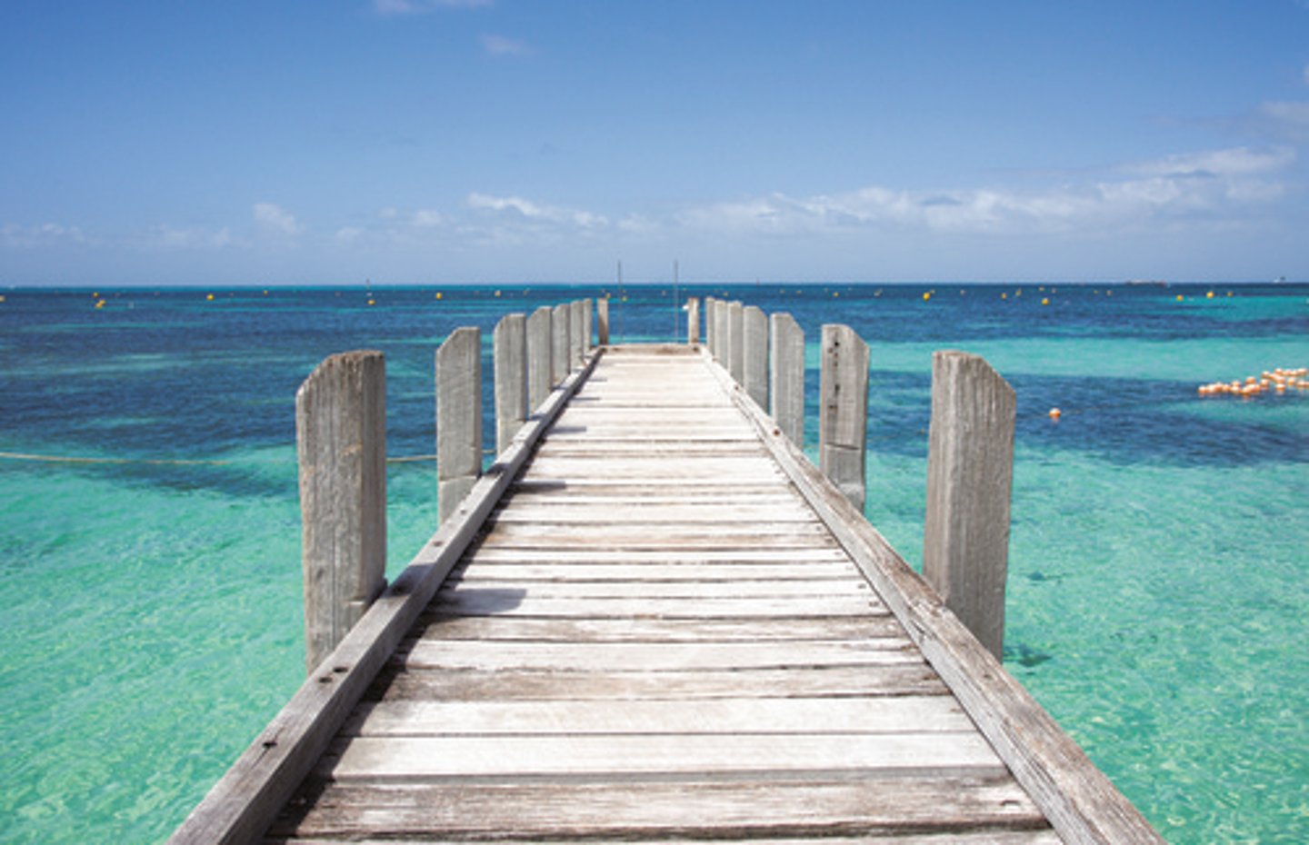 <p>jetty</p>