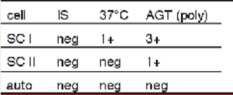 <p>antibody screen results + possible interpretations:</p><ul><li><p>1+ at 37 C with SCI</p></li><li><p>3+ at AHG with SCI</p></li><li><p>1+ at AHG with SCII</p></li></ul><p></p>