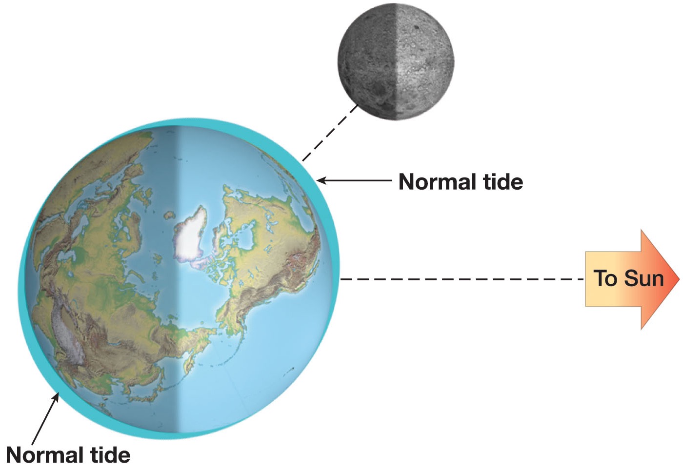 <p><span>high tides and low tides every day: b/c the moon adds a little more gravity and pulls the water out of the ocean basins</span></p>