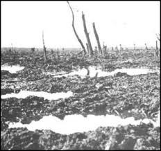 A strip of land between the trenches of opposing armies along the Western Front during WW1