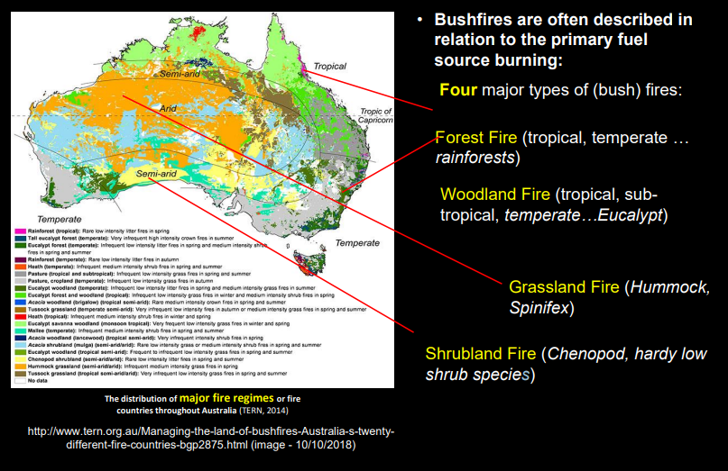 <p>Bushfires in the Australian Landscape - Physical and Climatic Factors</p>