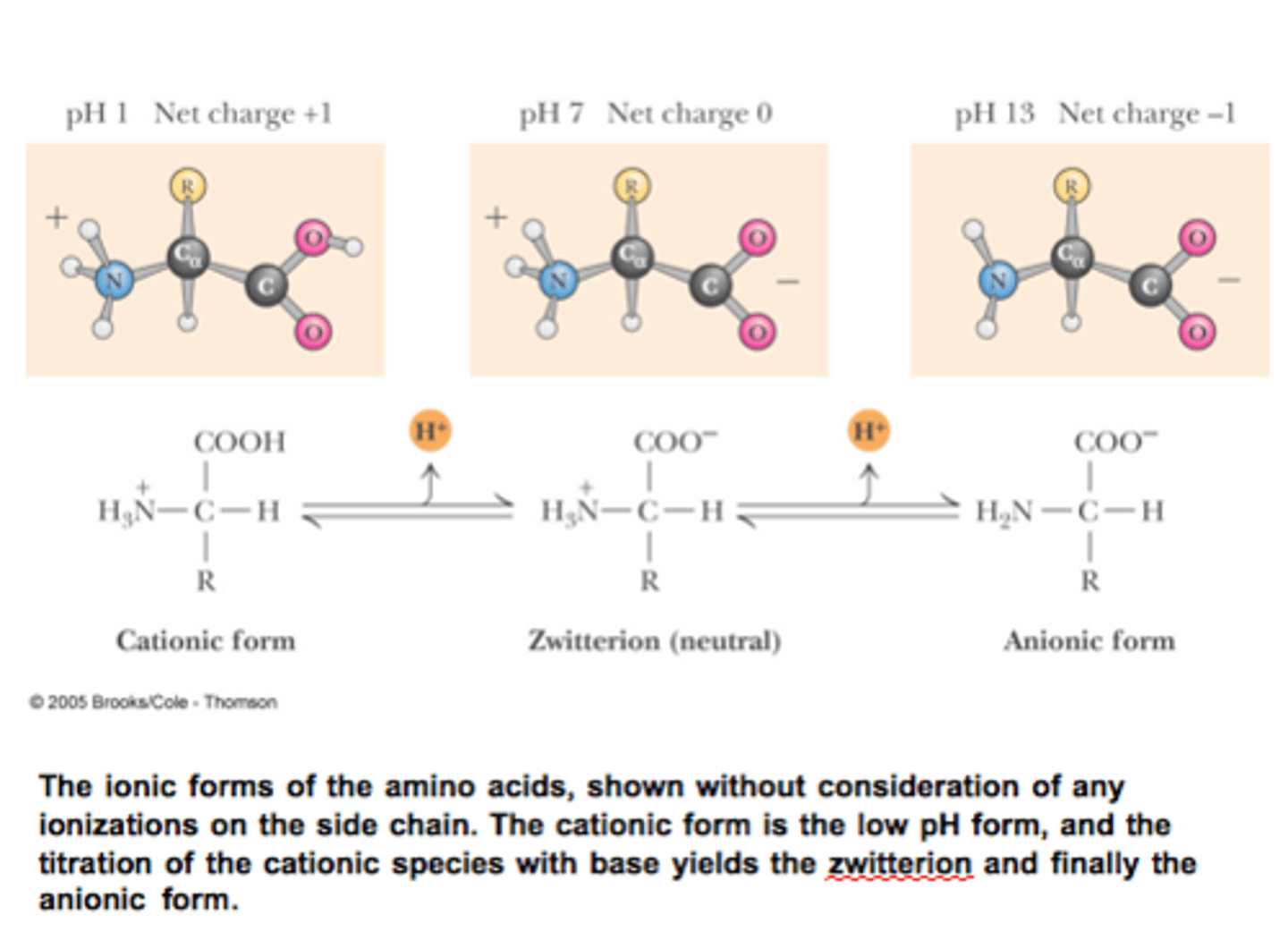 <p>Amino acid becomes a zwitterion in a pH far greater than 2. The amino acid is neutral.</p>
