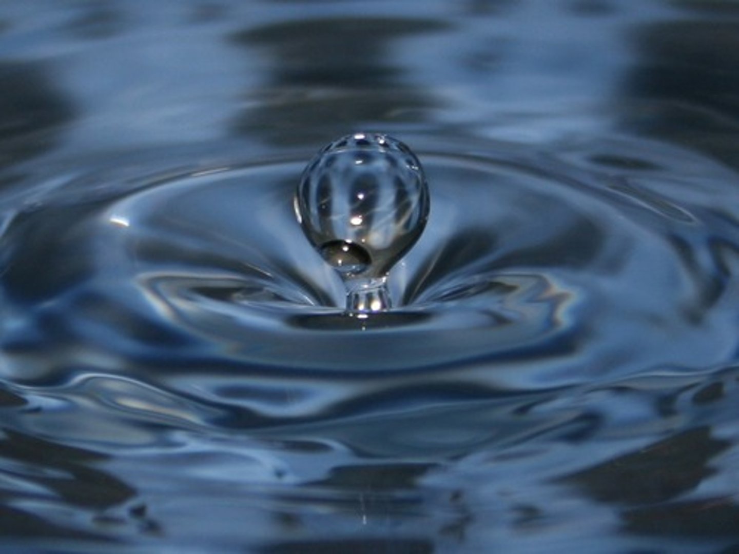 <p>aquae, vr.: water</p>