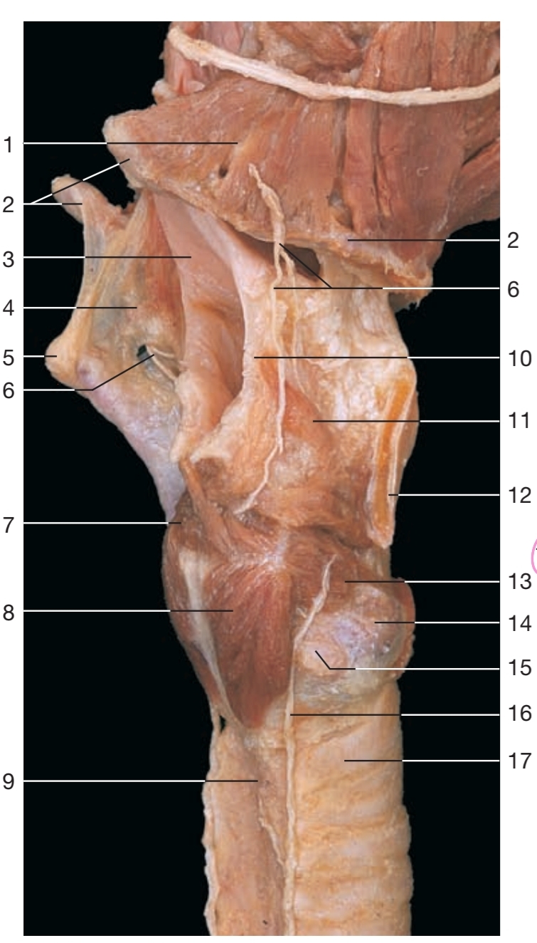 <p>3</p>