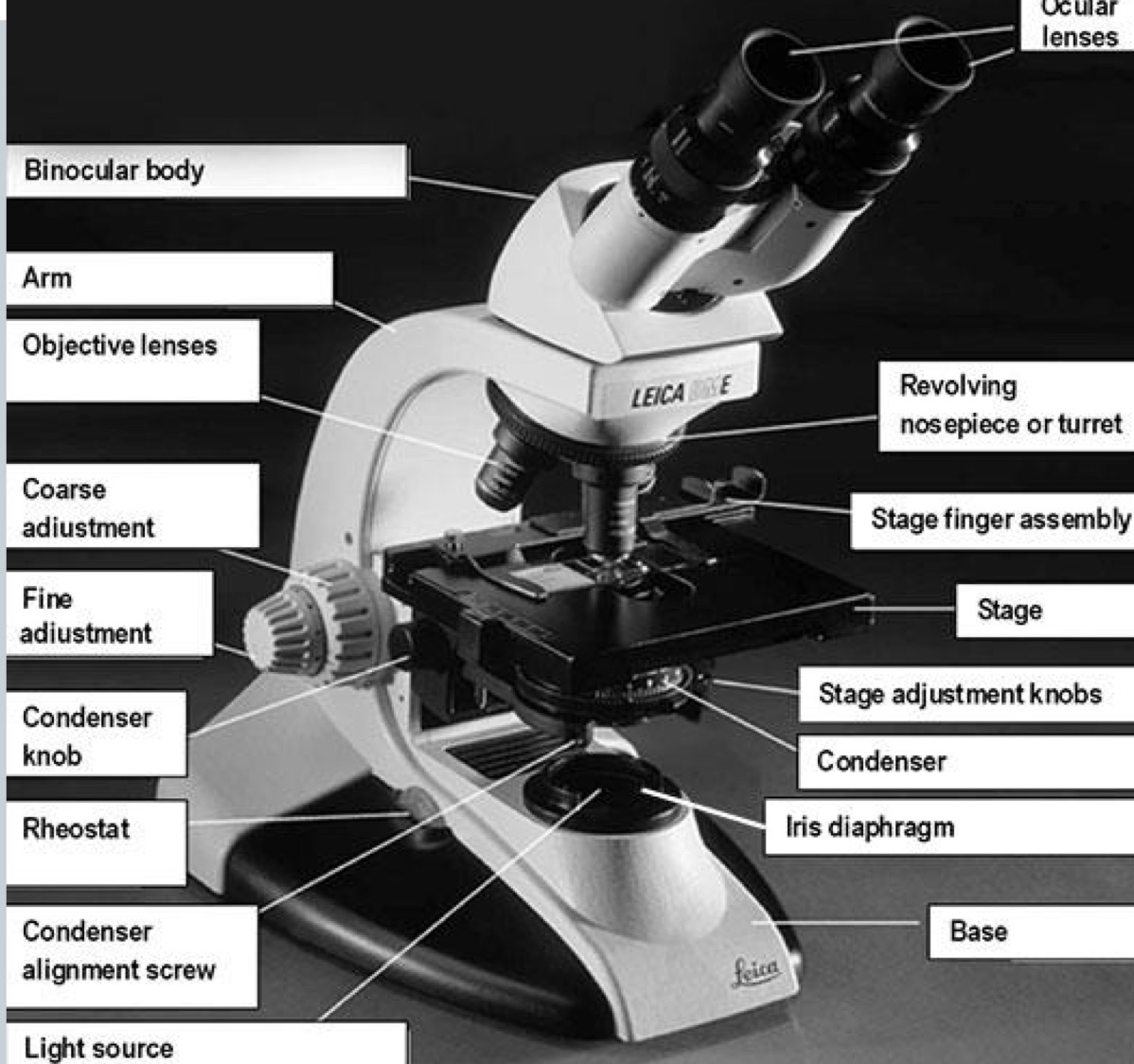 <p>What type of microscope is this?</p>
