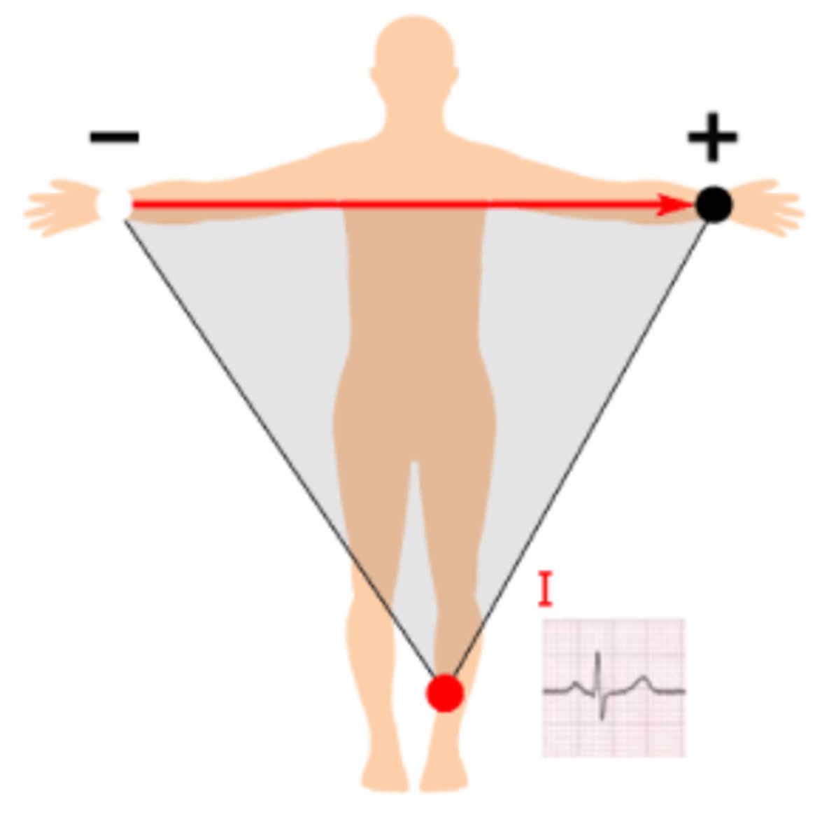 <p>From the right arm to the left arm with the positive electrode being at the left arm, at 0°</p>