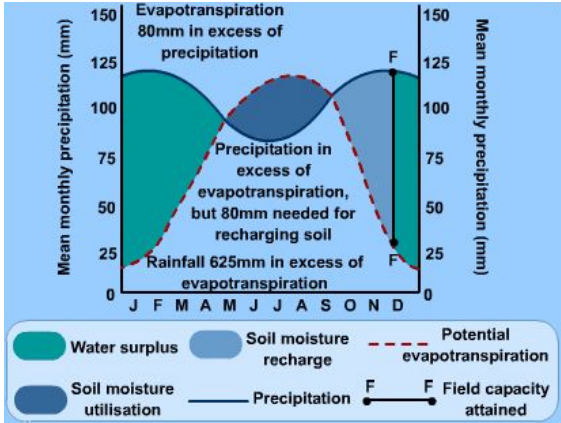 <p>Balance between inputs and outputs in the water cycle and their impact on soil water storage/availability</p><p>The maximum amount of water to be stored in the soil is the field capacity, once this is reached any further rainfall will become runoff and flood the area.</p><p>The water budget is dependent on type, depth and permeability of the soil.</p>