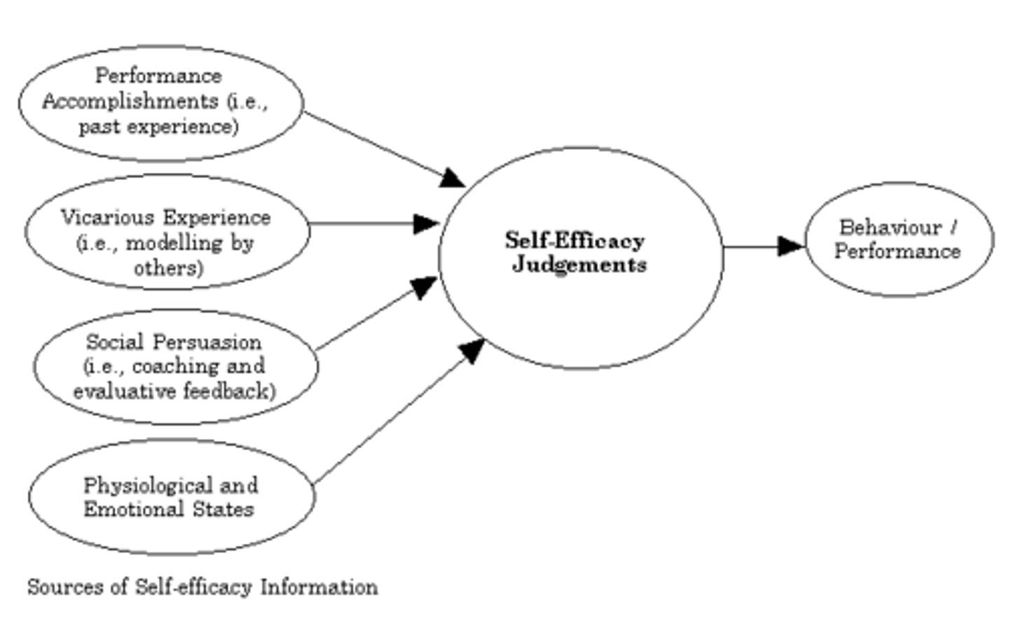 <p>belief in being able to perform in a particular area</p><p>ex. belief someone can do rlly well in a hard math class/low self-efficacy in auditioning for school play</p>