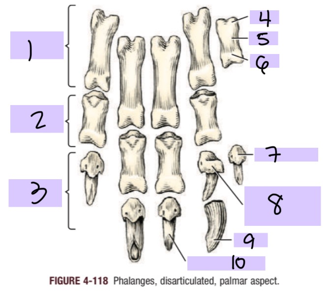 <p>1</p>