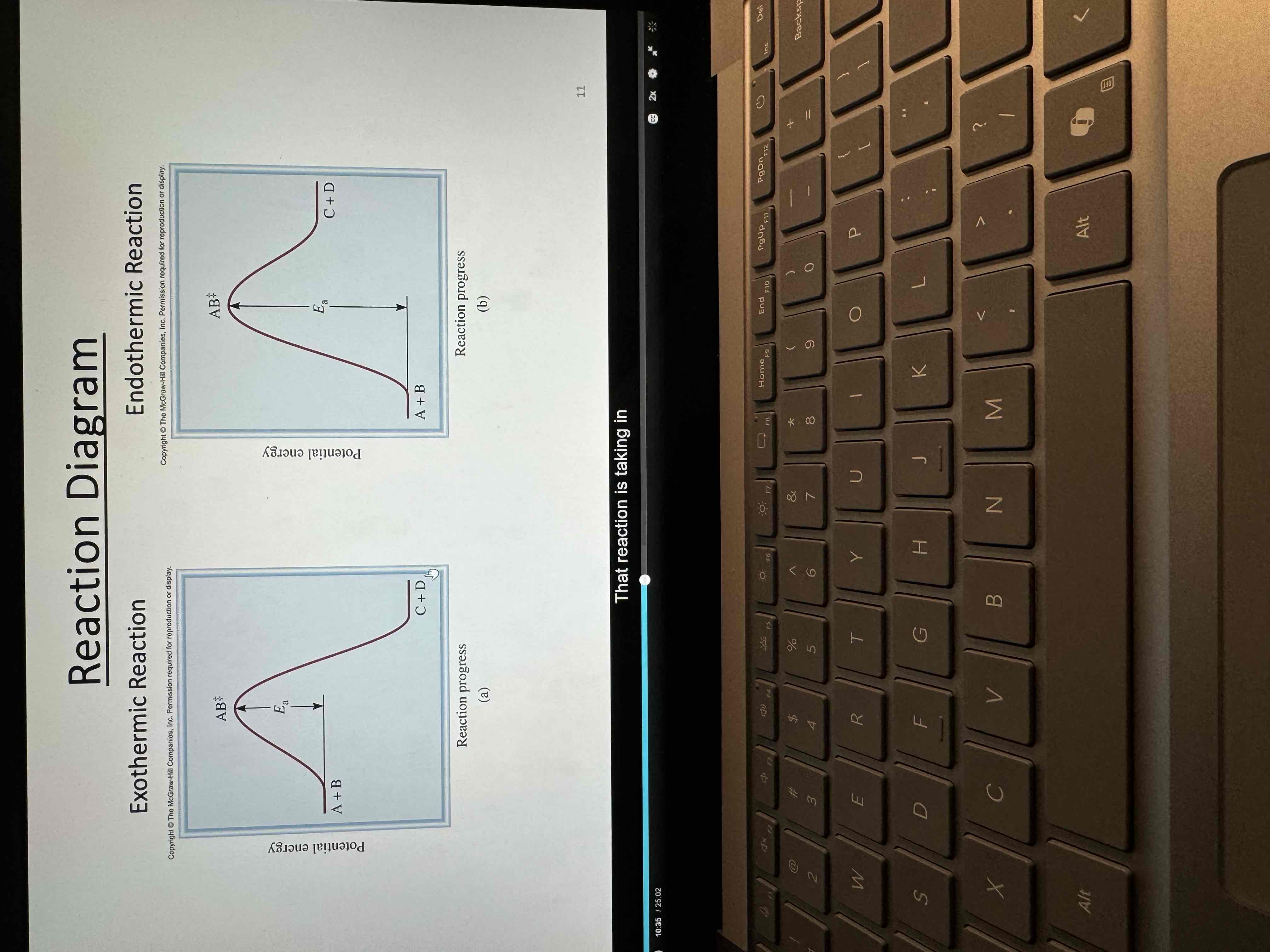 <p>Exo vs Endo graphs </p>