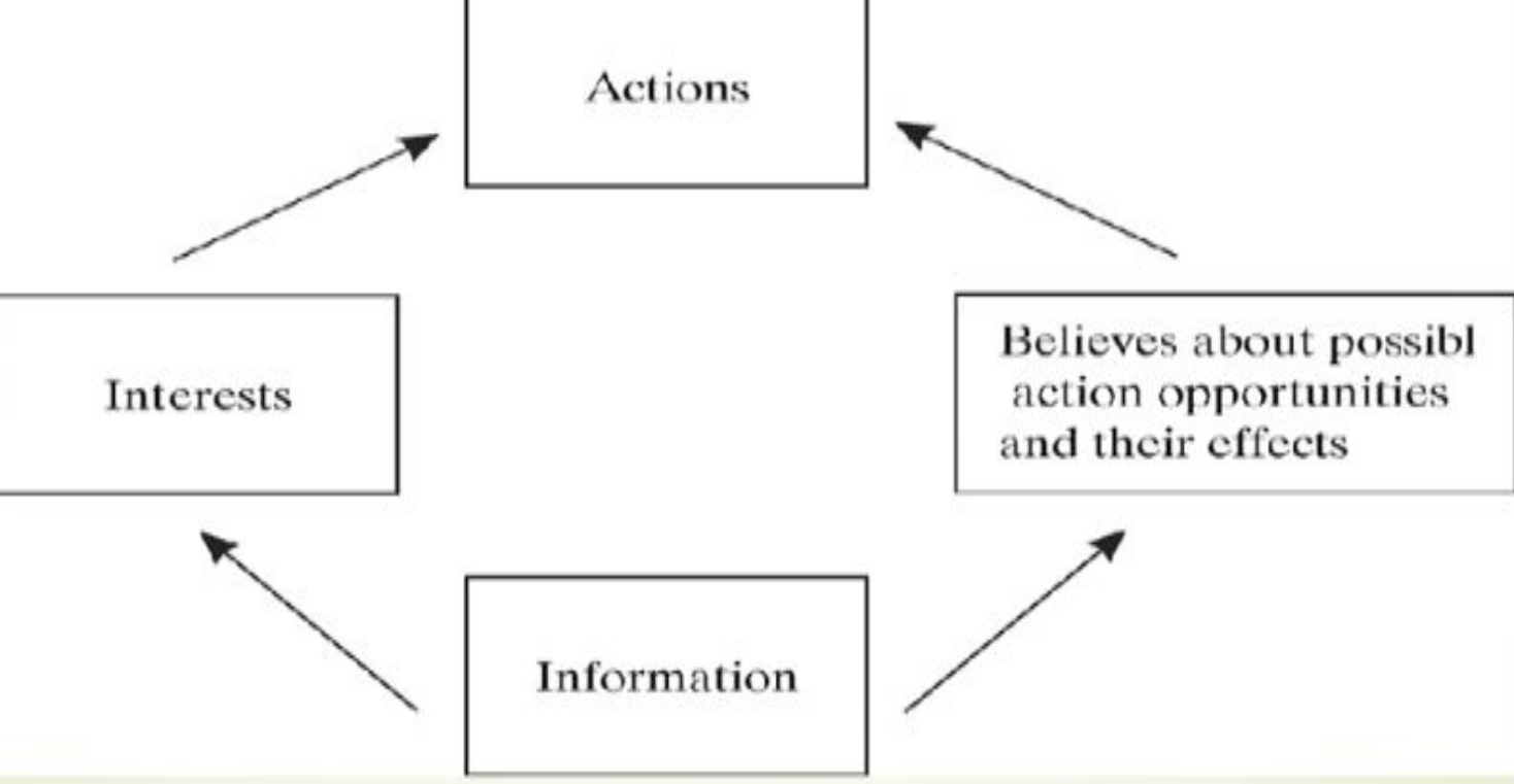 <ul><li><p>why people act or behave in the way they do</p></li><li><p>people usually do what they believe to have the overall best outcome</p></li><li><p>individuals’ actions are based on their preferences, beliefs, and feasible strategies</p></li></ul><p></p>