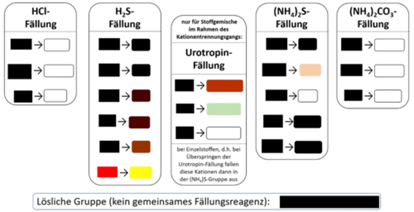 <p>H₂S-Fällung, gelber NS</p>