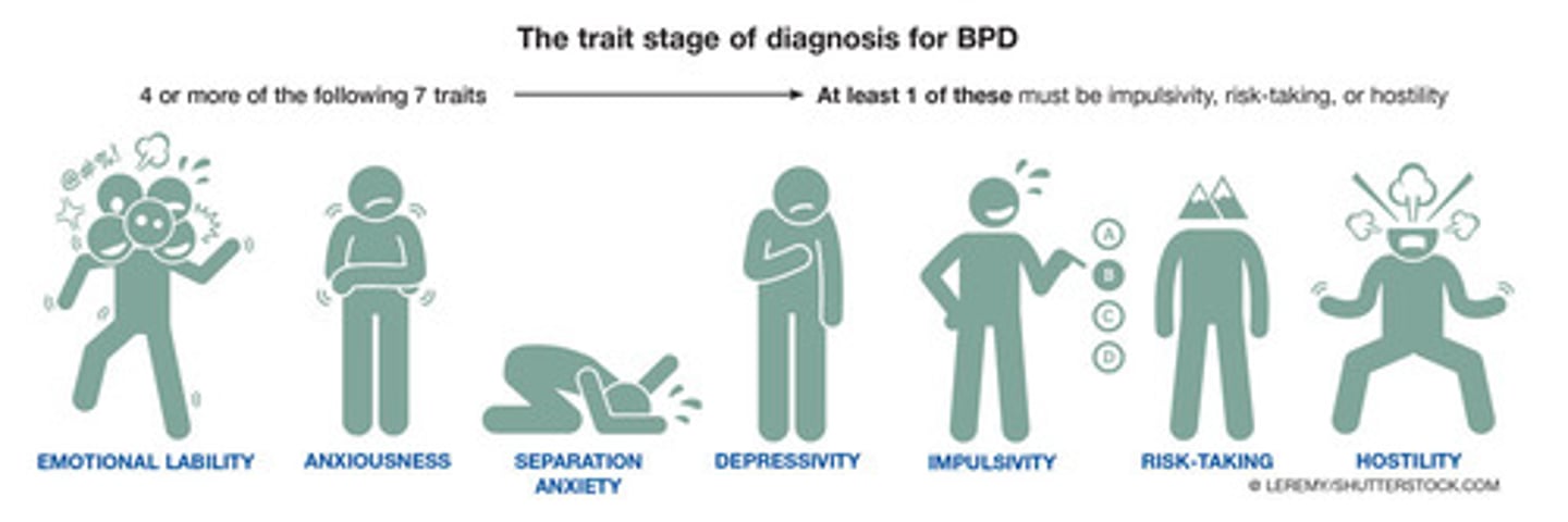 <p>(B) Borderline</p><p>Borderline Personality Disorder is characterized by having unstable emotions, self-image and relationships and being very impulsive.</p>