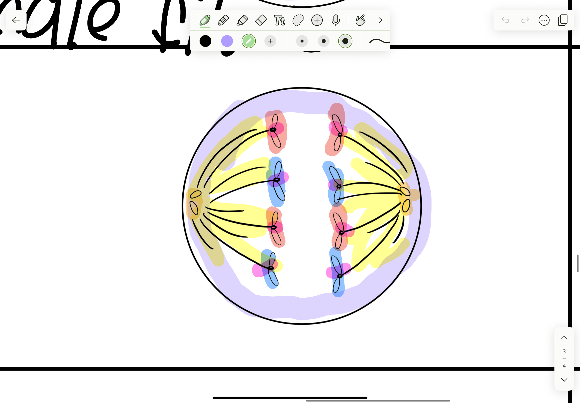 <p>What phase</p>