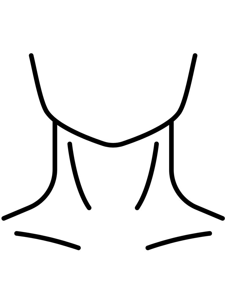 <p>Neck</p>