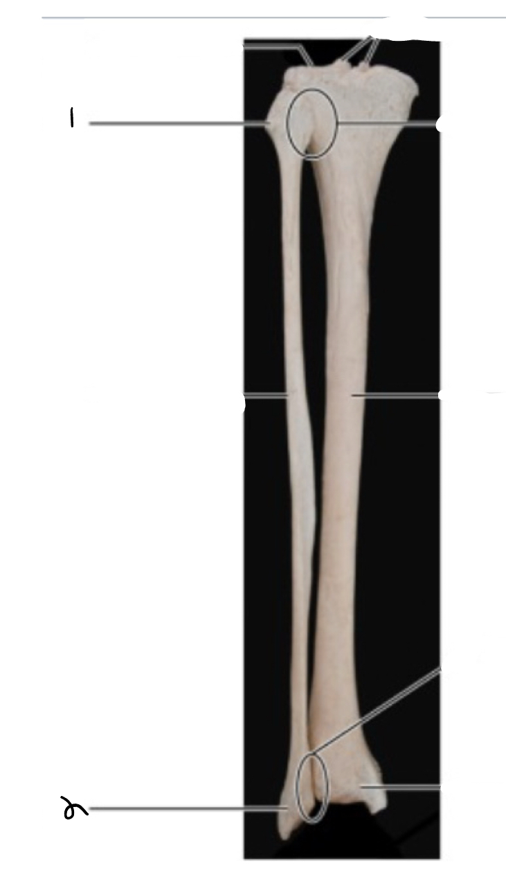 <p>2</p>