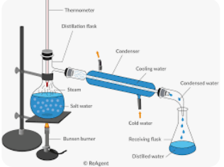 <p><span><span>What process is shown in this diagram?</span></span></p>