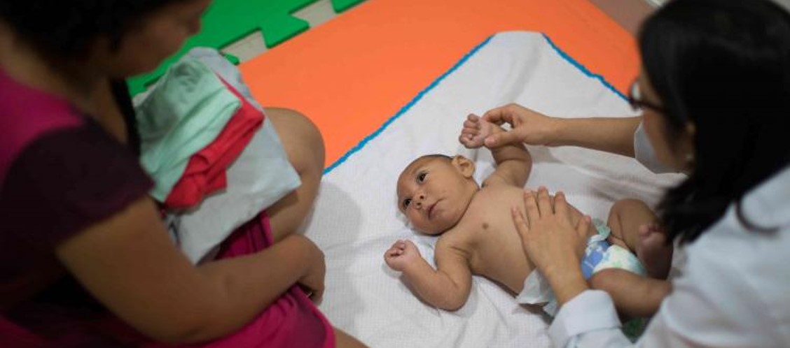 <p>Zika Virus - induces Birth Defects</p>