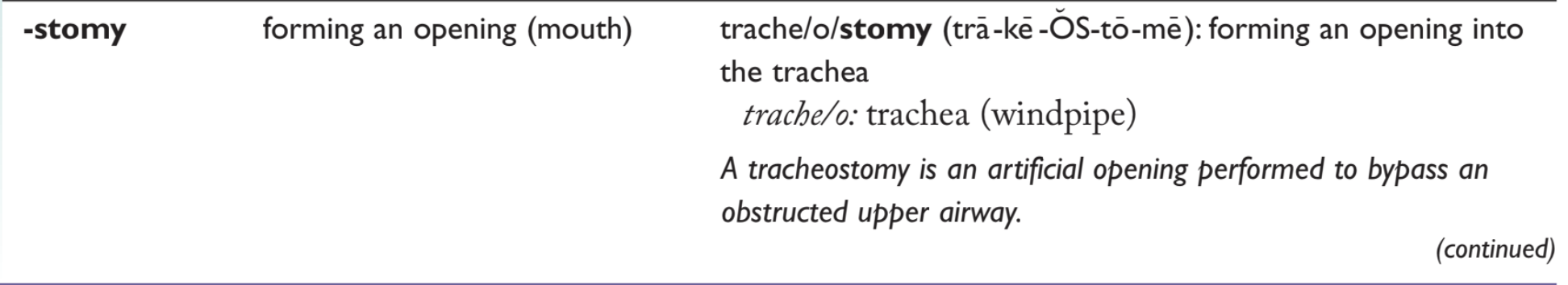 <p>Forming an opening (mouth) into the colon</p><p>A. Colectomy<br>B. Colostomy<br>C. Gastrectomy<br>D. Laparotomy</p>