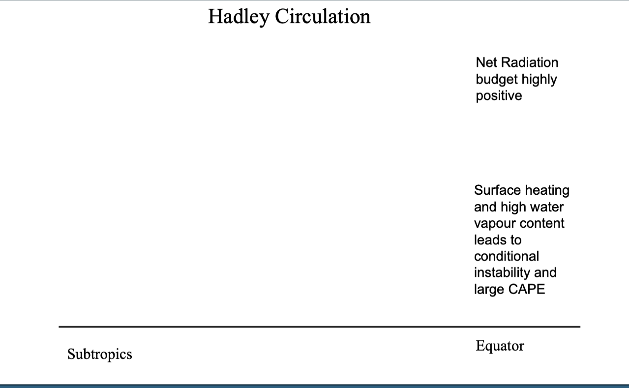 <p>Model of the tropics and subtropics near the equator with a high level of heating</p><p>explanation:</p><ul><li><p>at equator have high surface heating - positive net radiation budget</p></li><li><p>heating fuels evaporating water vapour </p></li><li><p>warm moist air = more cape </p></li><li><p>= more thunderstorms </p></li></ul><p></p>