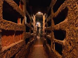 <p>what are these underground spaces?</p>