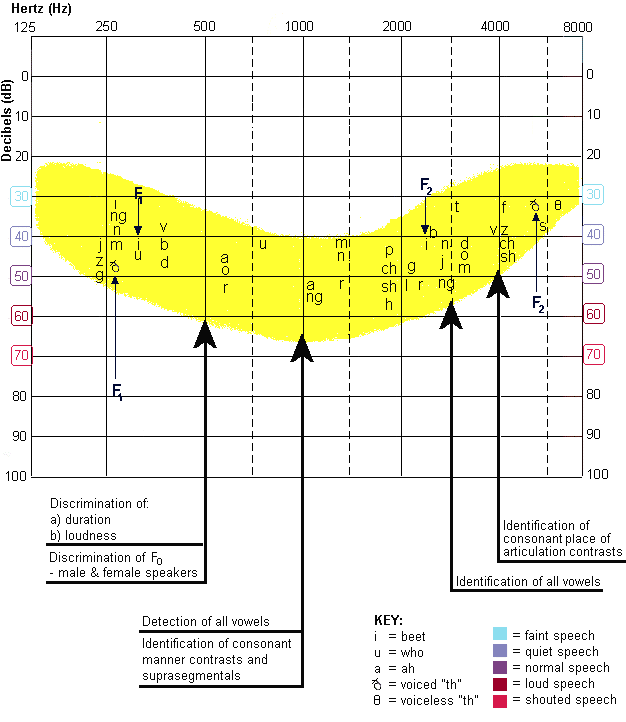 <p>Refers to the ability of the inner ear structure and associated neural systems to code spectral (frequency/intensity) and temporal (processing of acoustic stimuli over time) differences among speech sounds.</p><p>ex: Can the ear tell the difference between /s/ and /sh/? </p><p>Profoundly deaf individuals at best might have auditory resolution to perceive rhythm, intonation, vowel contrasts, and even many consonant contrasts. At worst, only gross variations might be detected. </p>