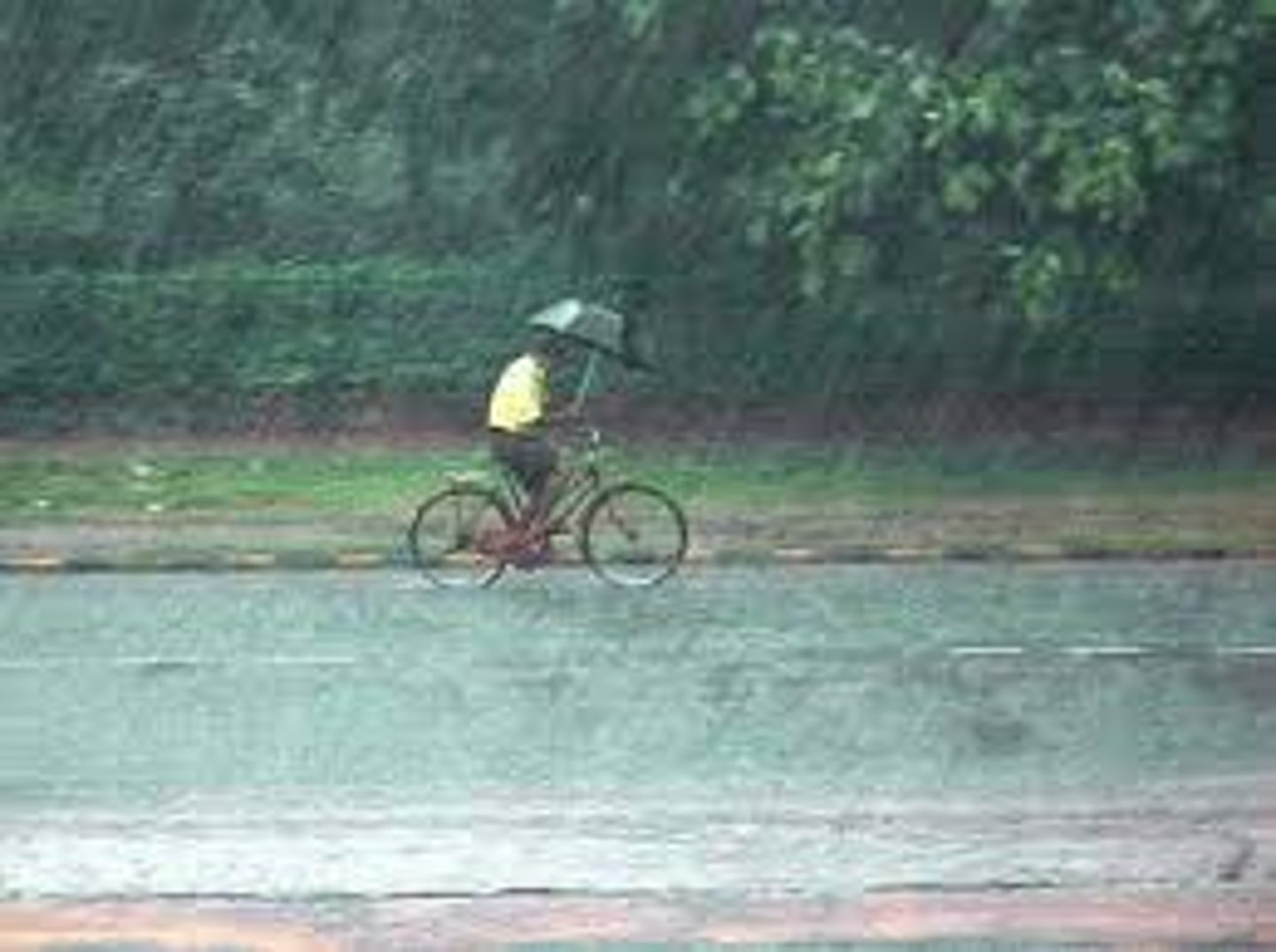 <p>Very heavy rain from towering cumulonimbus clouds.</p>