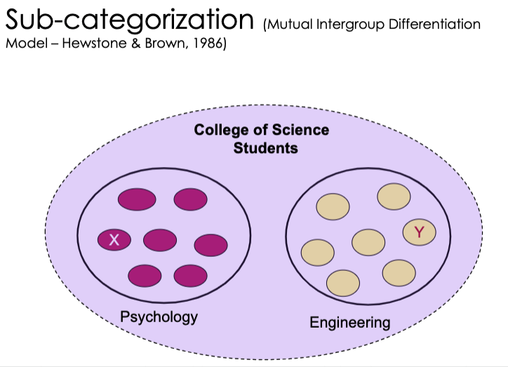 <p>Mutual intergroup differentiation which retains the positive subgroup distinctiveness but in a cooperative context i.e. weak superordinate. Not always realistic because there is often conflict between these subgroups that the model doesn’t address</p>
