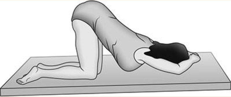 <p>Knee-chest Position</p>