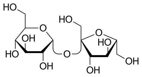 <p>sucrose = ______ + _________</p>