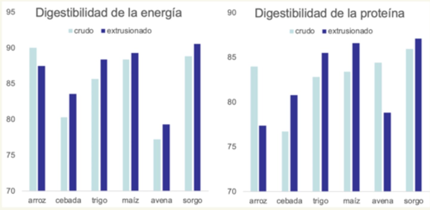 <p>mejora la digestibilidad</p><p>- salvo en el caso del arroz, se ↓ la digestibilidad</p>