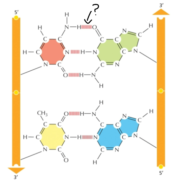 <p><span><span>Identify the indicated portion</span></span></p>