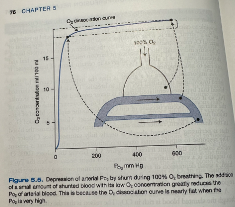 <ul><li><p><span>With a shunt, the hypoxemia cannot be abolished by giving an individual 100% O2 to breathe</span></p><ul><li><p><span>Shunted blood that bypasses ventilated alveoli is never exposed to the higher alveolar PO2</span></p></li><li><p><span>Some elevation in arterial PO2 will occur because of the O2 added to the capillary blood of ventilated lung, can help some patients</span></p></li><li><p><span>Most of the added O2 is in the dissolved form rather than attached to hemoglobin as the blood perfusing the ventilated alveoli is nearly fully saturated</span></p></li><li><p><span>Response to supplemental oxygen when shunt is present varies based on shunt fraction</span></p></li><li><p>Giving the subject 100% O2 to breathe is a very sensitive measurement of shunt because when the PO2 is high, a small depression of arterial O2 concentration causes a relatively large fall in PO2, due to the almost flat slope of the O2 dissociation curve in this region</p></li><li><p><span>Shunt usually doesn't result in a raised PCO2 in arterial blood even though shunted blood is rich in CO2</span></p><ul><li><p><span>Chemoreceptors sense any elevation of arterial PCO2 and respond by increasing ventilation, reducing the PCO2 of the unshunted blood until the arterial PCO2 is normal</span></p></li></ul></li></ul></li></ul><p></p>