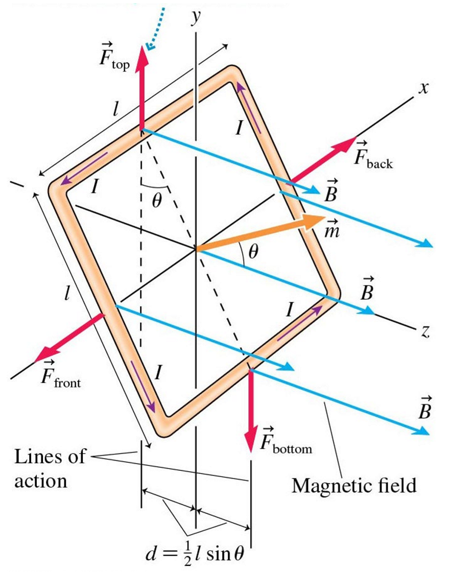 <p>torque on a current loop (tau) </p>