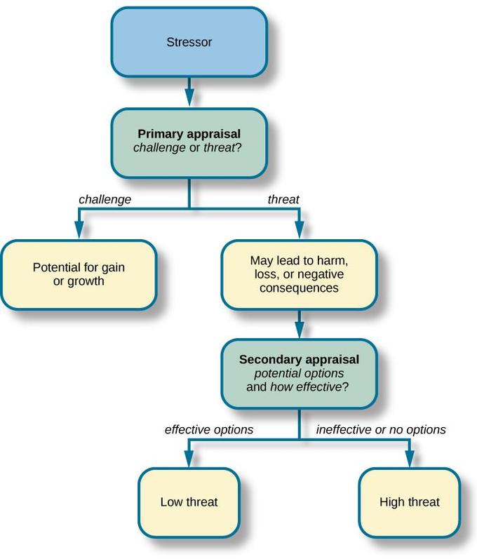 <p>Lazarus 1993.</p><p>When faced with an event we first must categorise it in a process called primary appraisal to see if it is something harmful, threatening, or challenging. If it is none of those then there is no stress, but if the event is one of the three options then we go through secondary appraisal. Here we ask ourselves “can I cope?”. If the answer is yes then there is low stress, if the answer is no then there is high stress.</p>