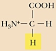 <p>Name (Abbr.) - polarity, a/n/b</p>