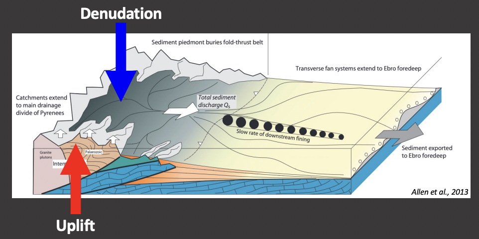 <ul><li><p>weathering and erosion which acts to reduce the amount of vertical elevation that uplifted rocks undergo</p></li><li><p>helps to bring them back toward sea level</p></li></ul>