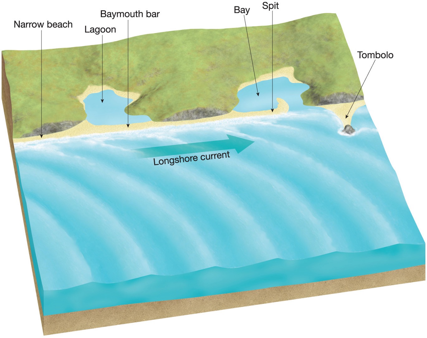 <p>erosion and deposition </p>
