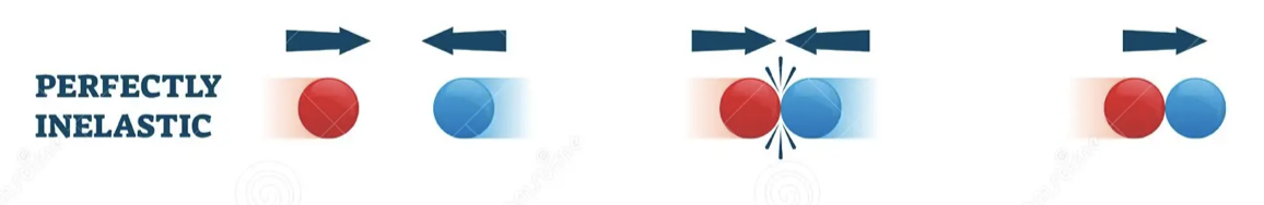 <ul><li><p>momentum is conserved</p></li><li><p>a large amount of mechanical energy is lost</p></li><li><p>the objects stick together so their <mark data-color="yellow">relative velocity of separation is zero</mark></p></li></ul>