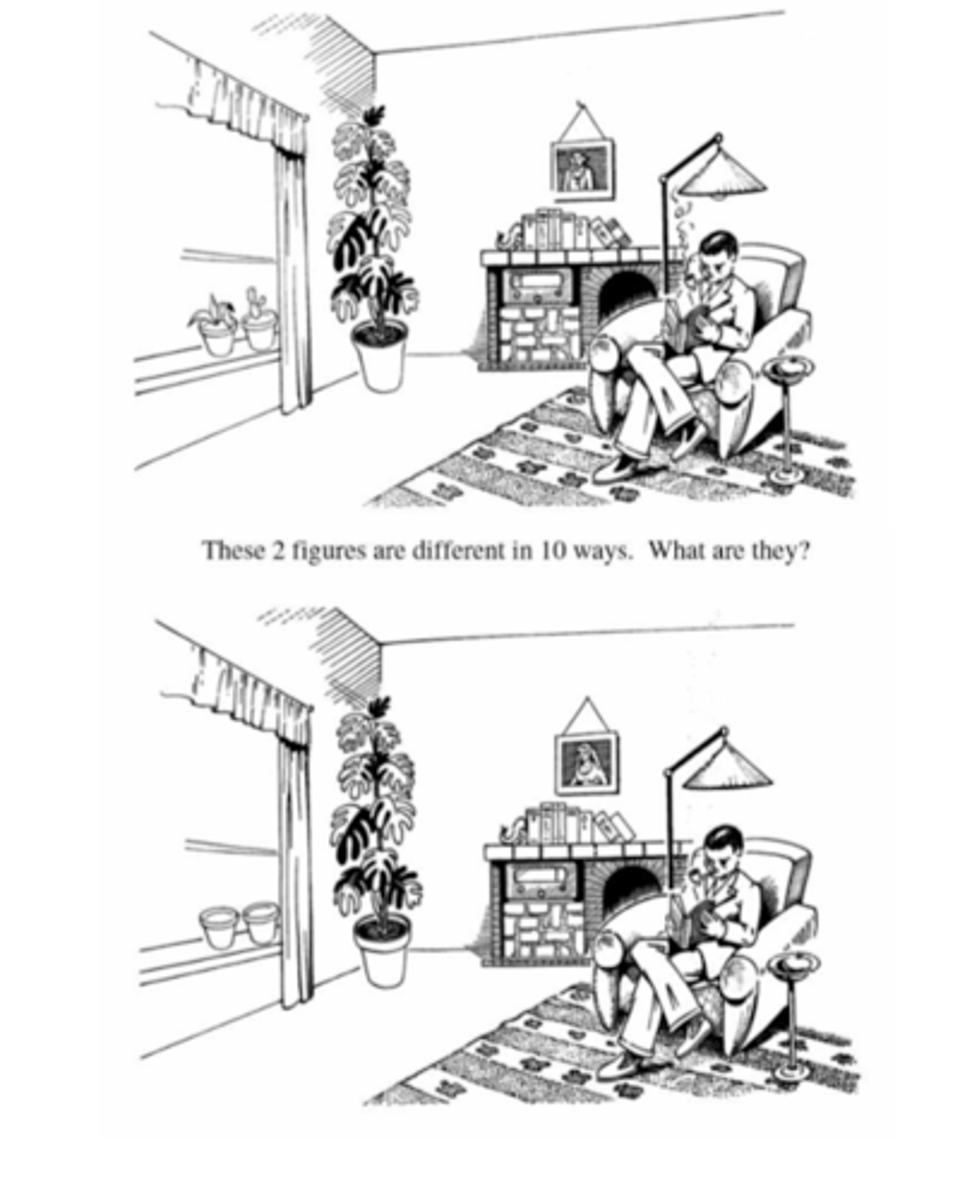 <p>pt finds the differences between the two pictures</p>