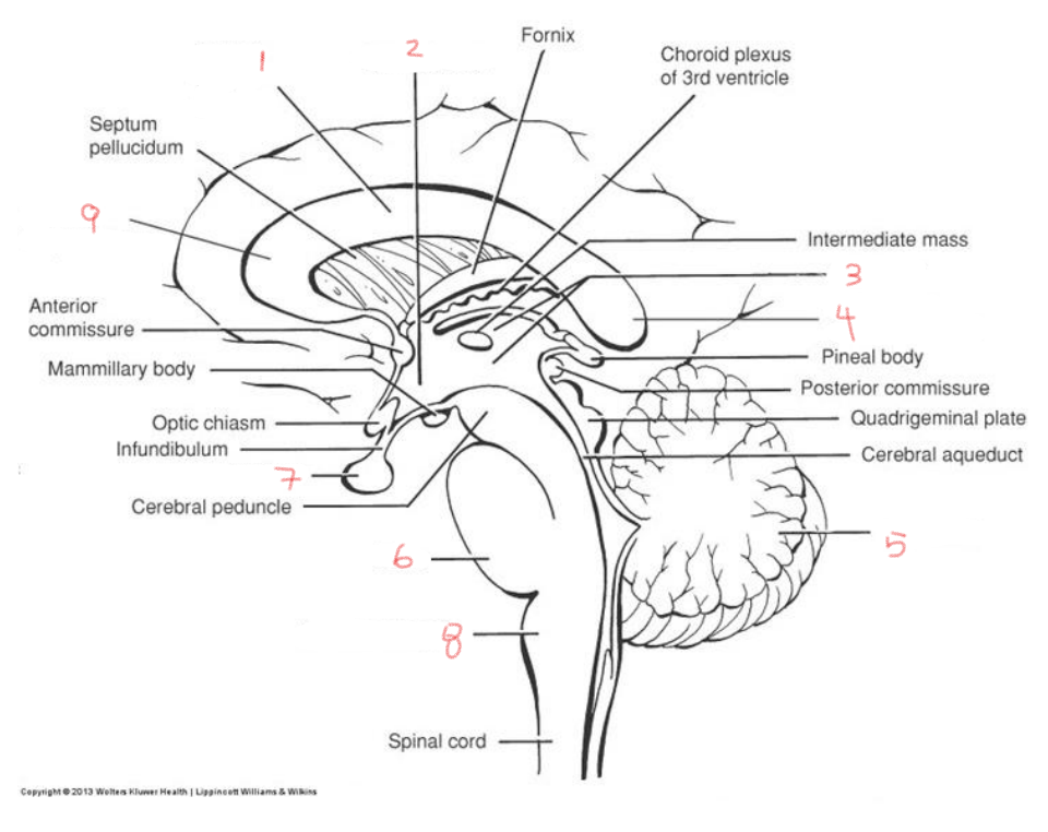 <p>1</p>