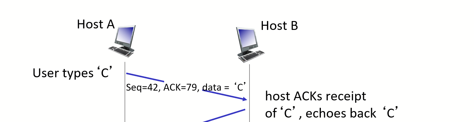 <p>TCP sequence numbers with telnet scenario (echoes back)</p>