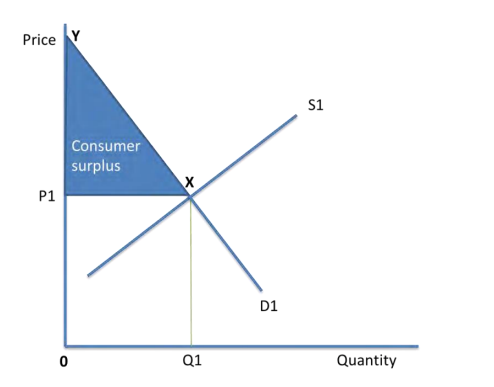 <p>The difference between the price that the consumer is willing and able to pay and what they actually pay</p>