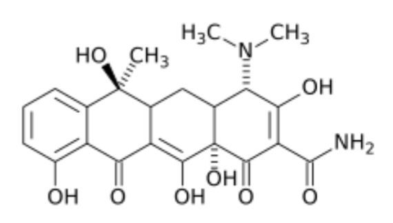 <p>Category <strong>D</strong></p><p>First developed in 1940s, named for their 4 hydrocarbon rings</p><p>Bacteriostatic, <strong>time-dependant</strong>, and have persistent post-antibiotic effects (Parameter AUC24/MIC = best predictor of clinical efficacy)</p><p>Older, 1st generation = Chlortetracycline, <strong>Oxytetracycline</strong> (main in large), Tetracycline</p><p>Newer, 2nd generation = <strong>Doxycycline</strong> (main in small animals), Minocycline</p>