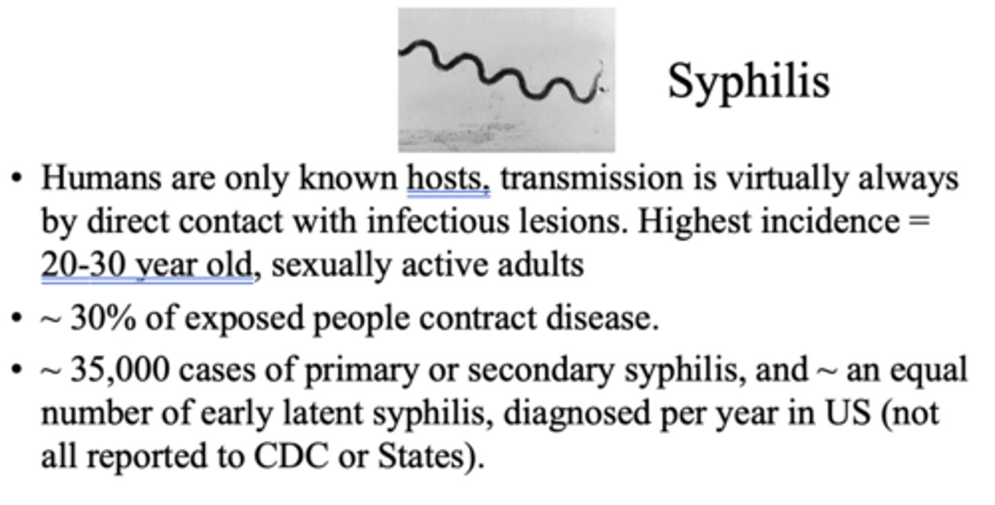 <p>20-30 year old, sexually active adults</p>