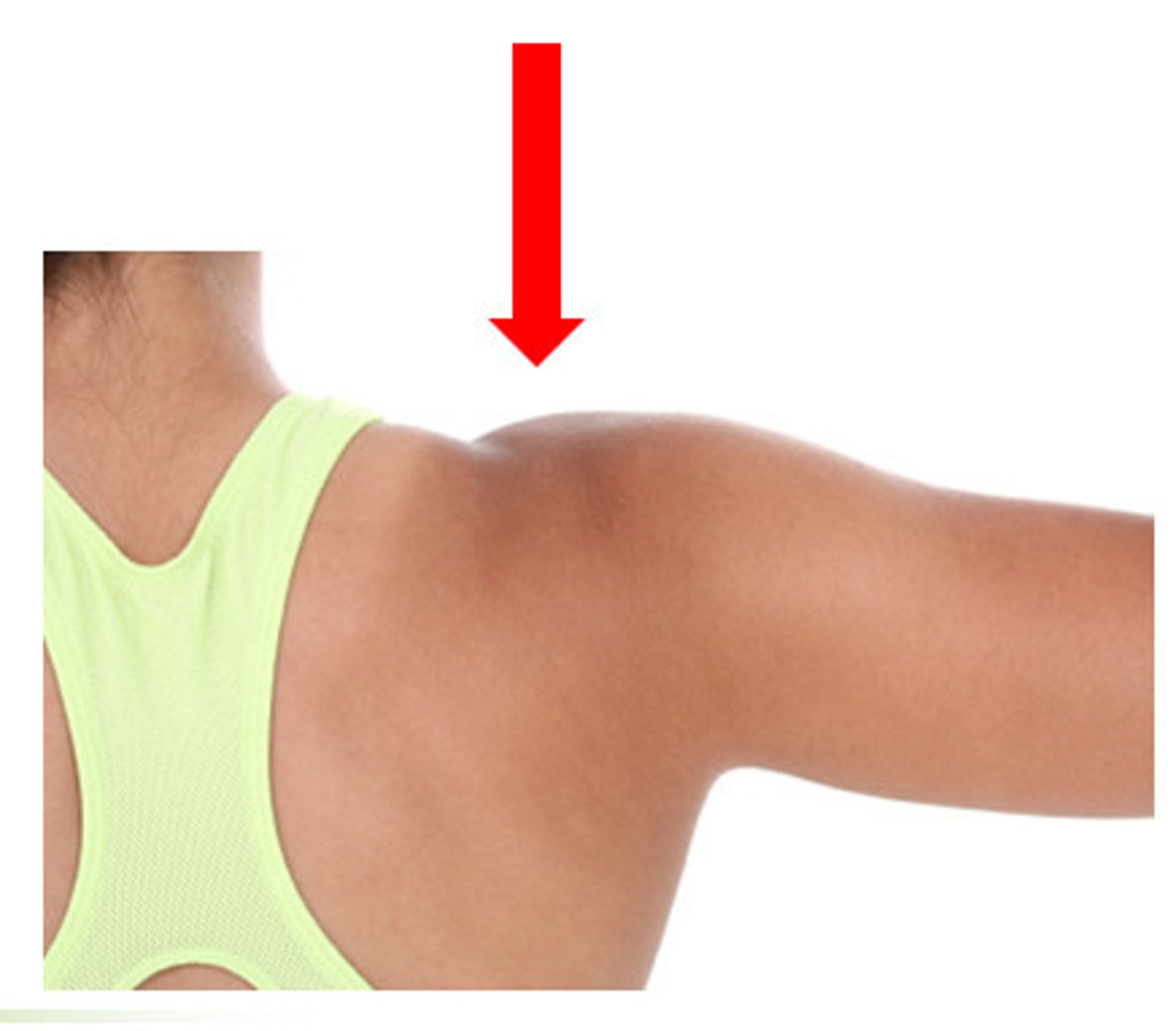 <p>jiān bǎng - shoulder, vai</p>